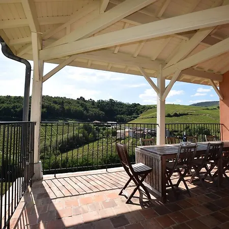 Spacious In With Swimming Pool Chiroubles