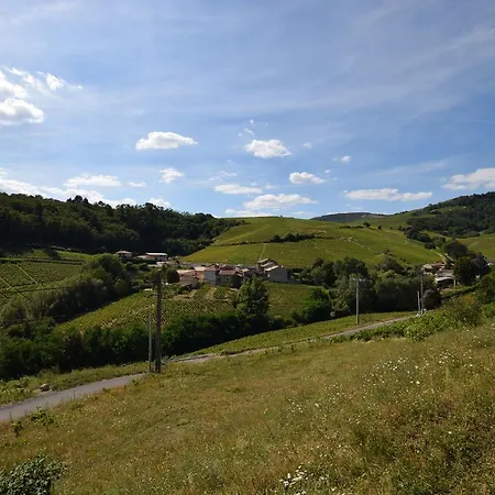 Βίλα Spacious In With Swimming Pool Chiroubles
